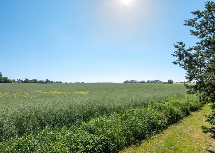 Vidie-kjaeret * Græsted